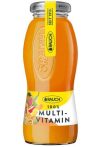   RAUCH Üdítőital, szénsavmentes, 0,2 l, RAUCH " Prémium", multivitamin